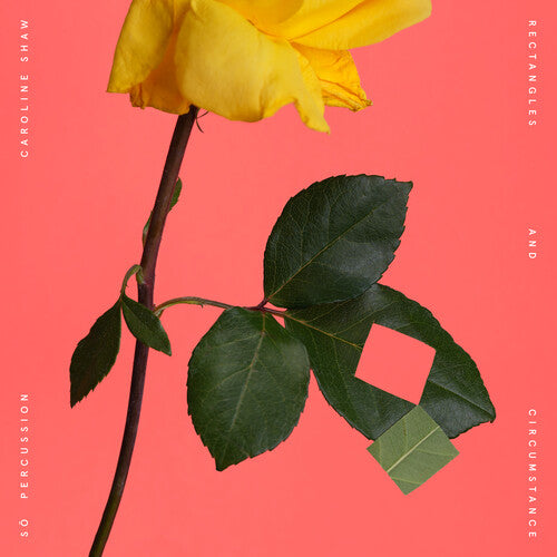 Rectángulos y circunstancias (vinilo)