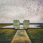 Lord Buffalo - Holus Bolus (Vinyl)