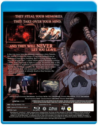 Fiesta de Amrita (Blu-ray)