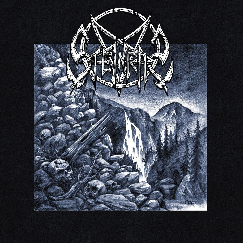 the album cover for Steinras - Steinras