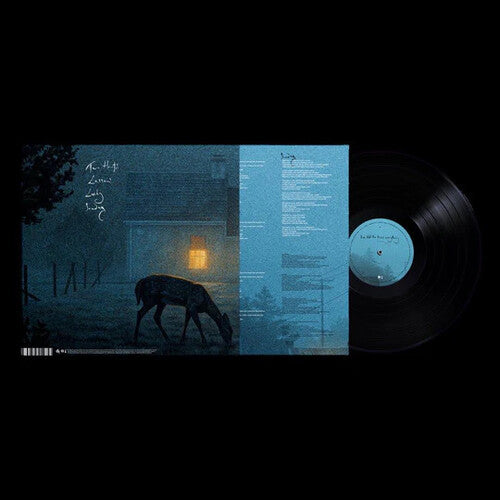 ダーモット・ケネディ - I've Told The Trees Everything (レコード)
