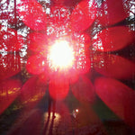 Russian Circles - Empros (Vinyl)