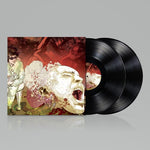 Beardfish - Destined Solitaire (Edición del 15.º aniversario) (Vinilo)