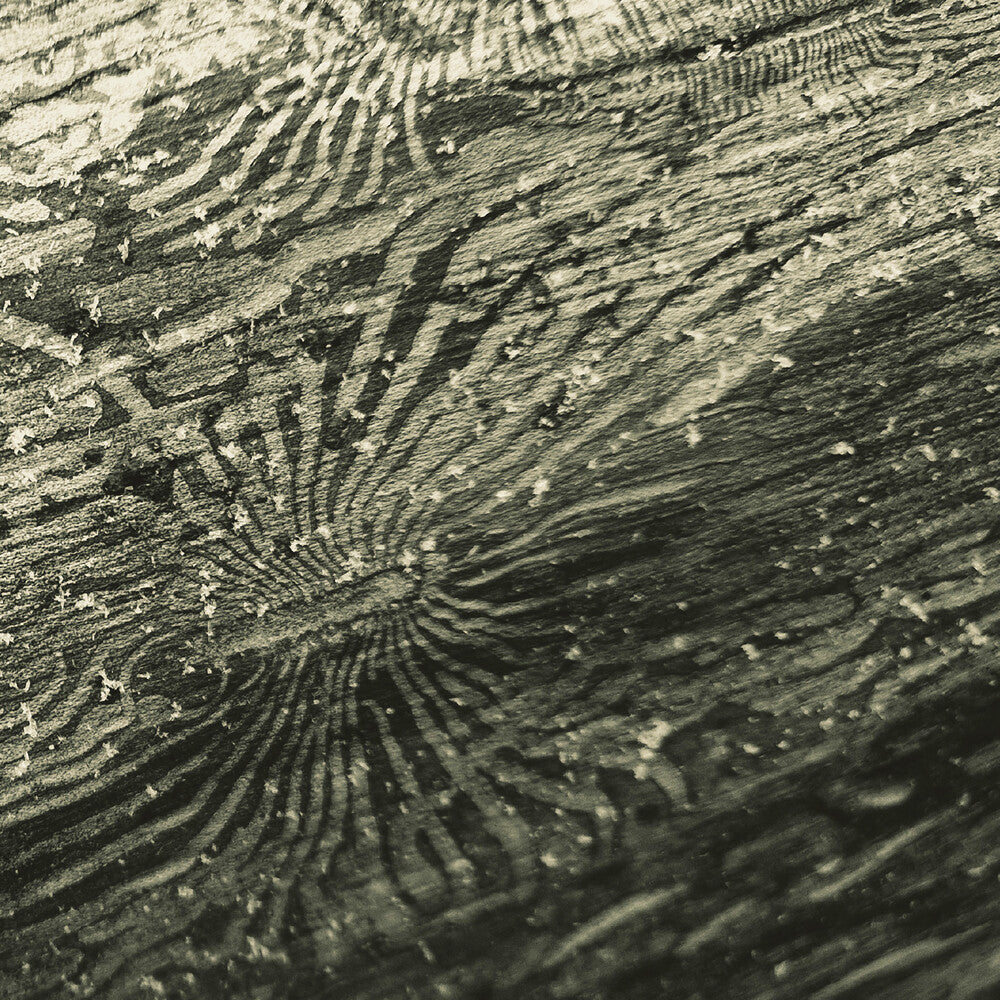 the album cover for Raphael Roginski - Tal???A???N