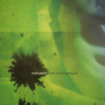 Eiafuawn - Birds in the Ground (CD)