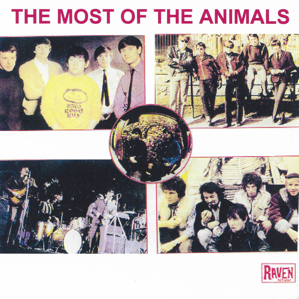 the album cover for Animals - Most Of The Animals