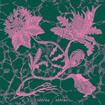 Mareeternelle (Vinilo)