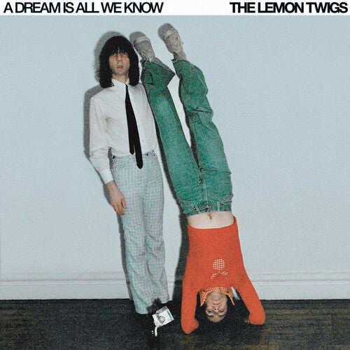 The Lemon Twigs - Un sueño es todo lo que conocemos (Vinilo)