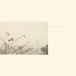 Wild Nothing - Golden Haze - Golden Haze (Vinilo)