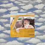 Wild Pink - Dulling The Horns (CD)