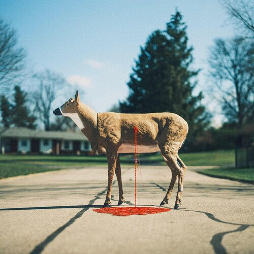 Wayne Graham - Bastion (Vinyl)