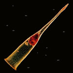 the album cover for Leprous - Melodies Of Atonement [Colored Vinyl] (Gate) (Grn)