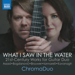 the album cover for Bogdanovic / Kavanagh / Chromaduo - What I Saw In The Water