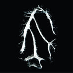 the album cover for Seefeel - Everything Squared [Digipak]