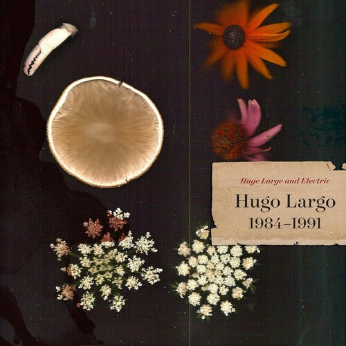 Hugo Largo - Huge Large And Electric: Hugo Largo 1984-1991 (CD)
