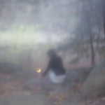 the album cover for Clinic Stars - Only Hinting