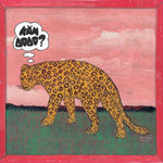 the album cover for Kandodo - Theendisinpsych