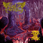 the album cover for Kaivs - After The Flesh