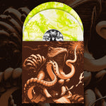 Boris - Adoración por los amplificadores - 25.º aniversario (Vinilo)
