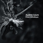 the album cover for Audrey Lauro - Prose Metalliqe