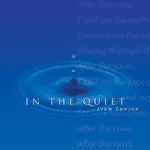 the album cover for Liam Lawton - In the Quiet
