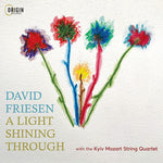 David Friesen - Una luz brillando a través (CD)