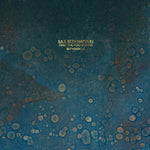 ジュリー・ベス・ナポリン - Only The Void Stands Between Us (レコード)