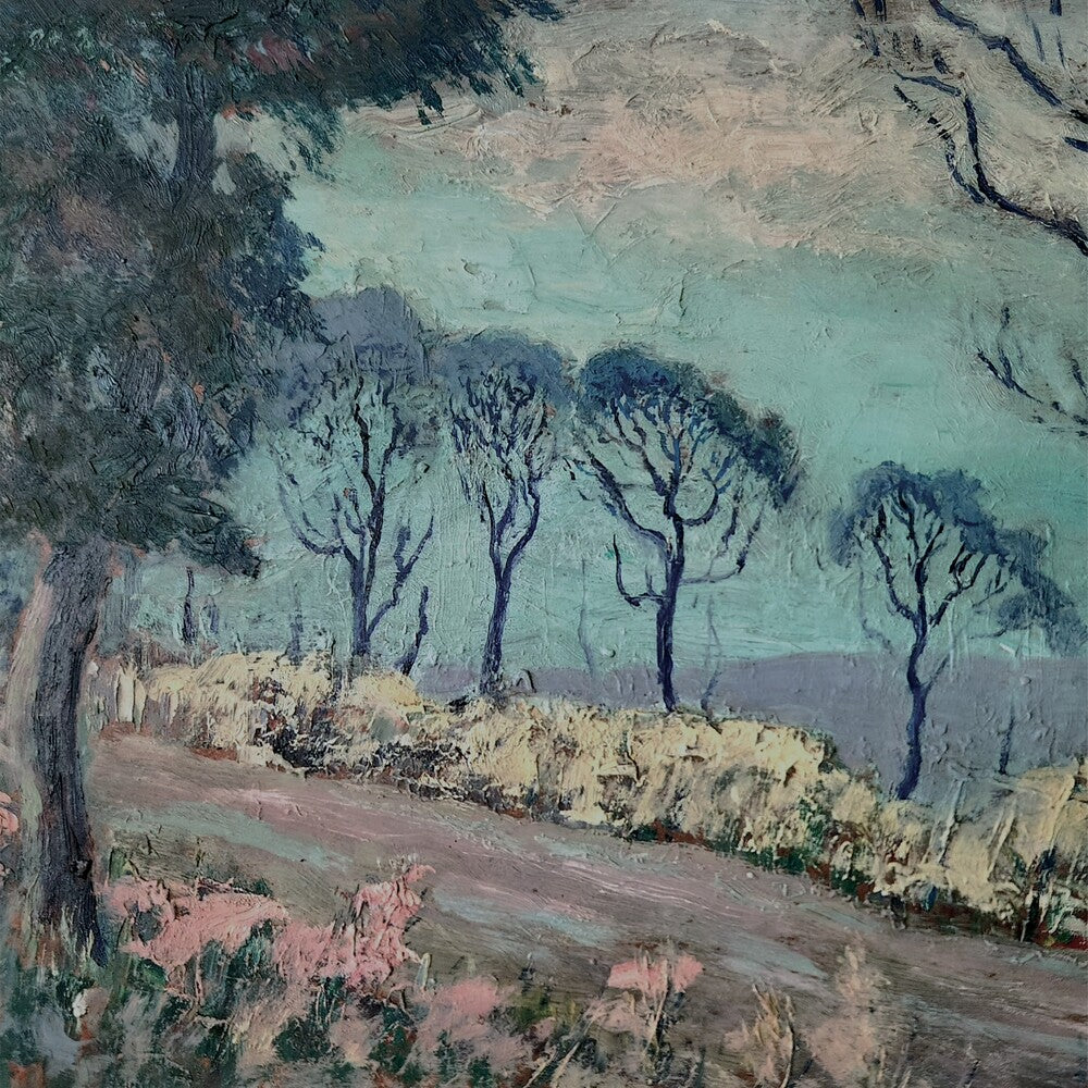 the album cover for Advance Base - Horrible Occurrences