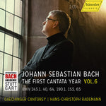 ヨハン・セバスチャン・バッハ - ビジョン・バッハ 第6巻 - カンタータ第1年 - BWV 243.1、40、64、190.1、153、65 (CD)