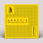 Metacognition (Vinyl)
