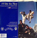 Big Daddy Kane : I'll Take You There(7", Promo)