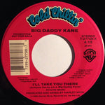 Big Daddy Kane : I'll Take You There(7", Promo)