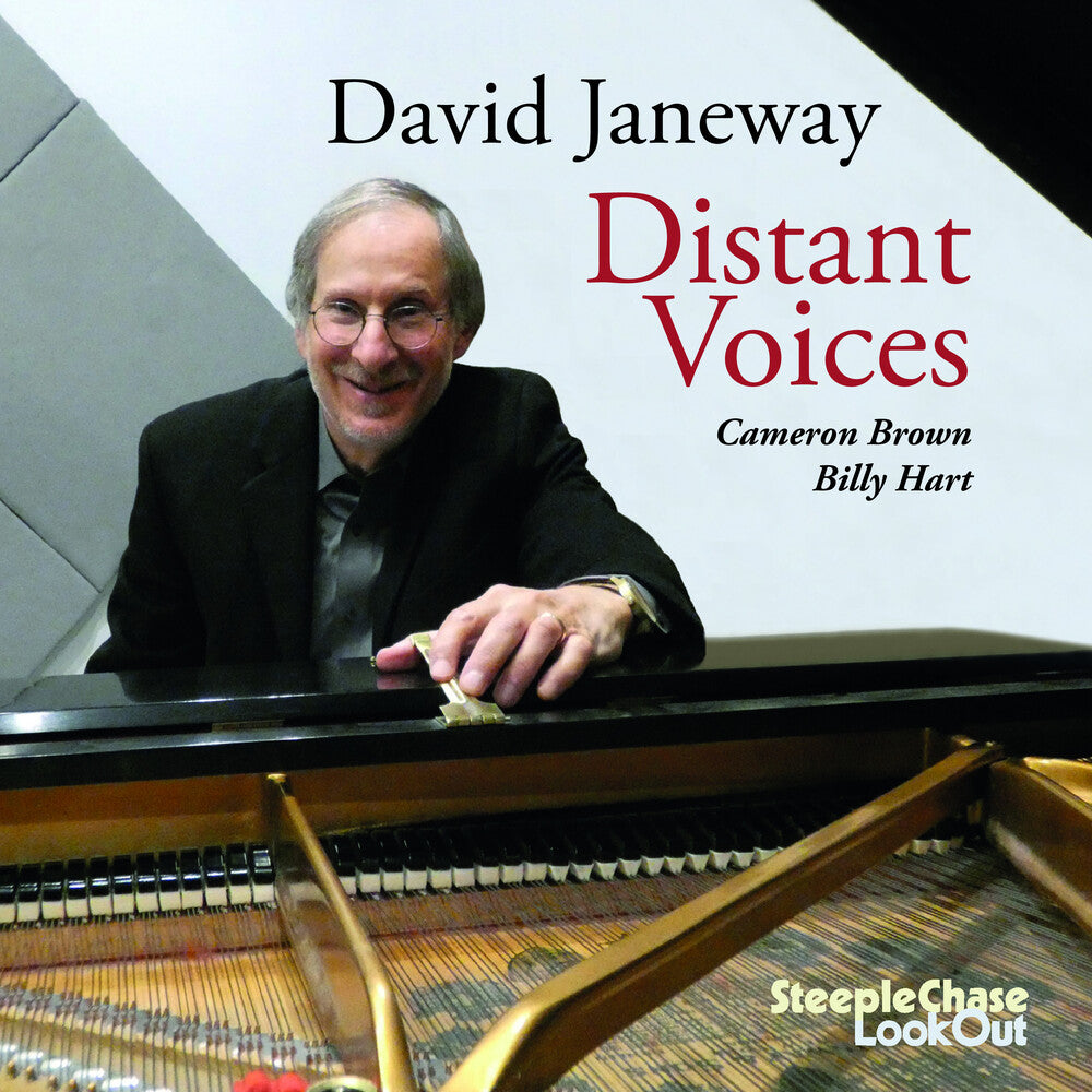 the album cover for David Janeway - Distant Voices (Uk)