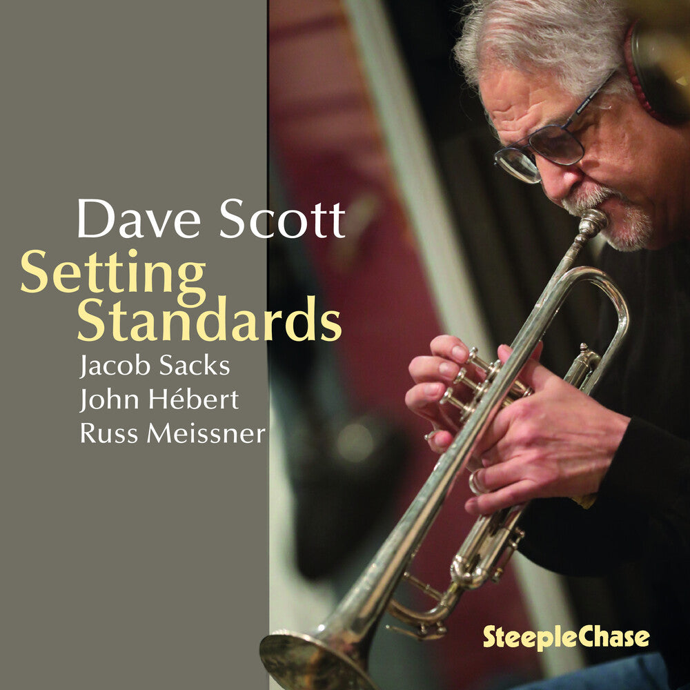 the album cover for Dave Scott - Setting Standards (Uk)