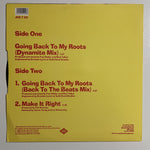 Lisa M (3) : Going Back To My Roots (12")