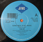 Lisa M (3) : Going Back To My Roots (12")