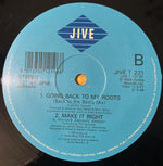 Lisa M (3) : Going Back To My Roots (12")
