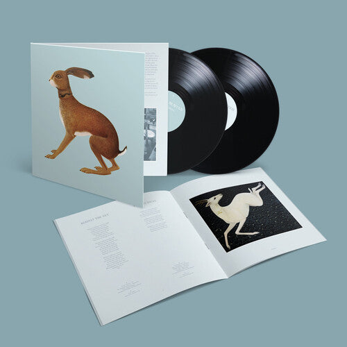 Vashti Bunyan - Lookaftering - Expanded (Vinyl)