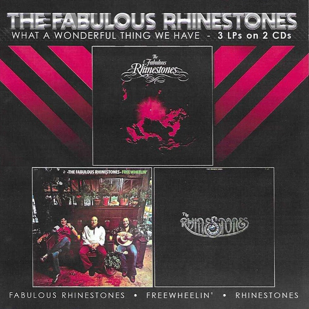the album cover for Fabulous Rhinestones - What A Wonderful Thing We Have