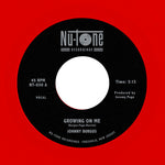 Johnny Burgos - Creciendo en mí / Ready 45 (Vinilo)