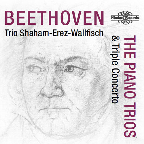 Trio Shaham Erez Wallfisch - Beethoven: The Piano Trios & Triple Concerto (CD)