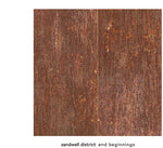 Sandwell District - End Beginnings - Transparent Blue (Vinyl)