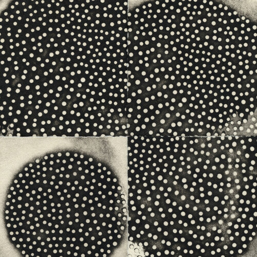 K. Leimer - Proximate Forms (CD)