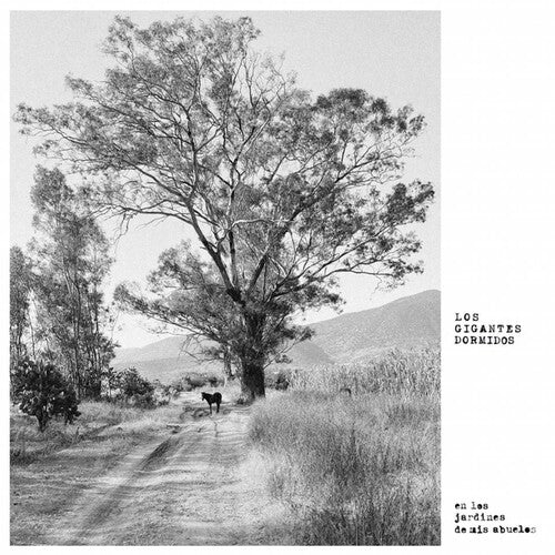 Gigantes Dormidos - Los Jardines De Mis Abuelos (Vinilo)