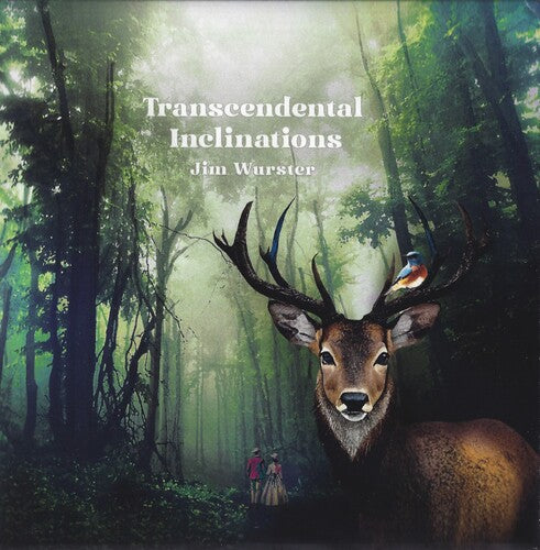 Jim Wurster - Transcendental Inclinations (CD)