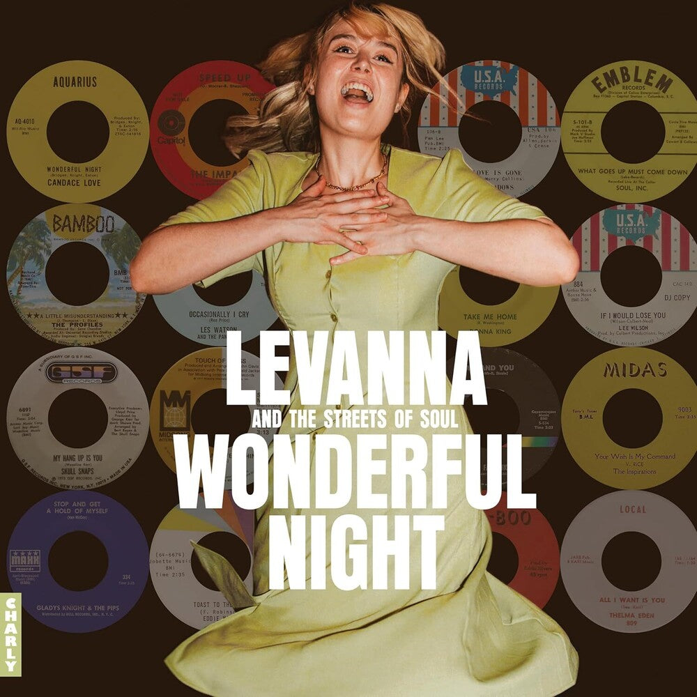 the album cover for Wonderful Night Curated by Levanna / Various - Wonderful Night Curated By Levanna / Various