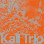 Det Norske Jentekor - The Playful Abstract (CD)