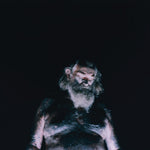 the album cover for Nothing - The Great Dismal