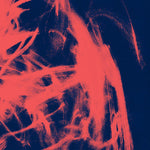 Rival Consoles - Landscape From Memory (Vinyl)