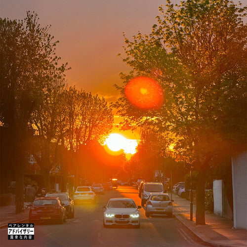 No Vi$ible Means Of Income 3 (Vinyl)